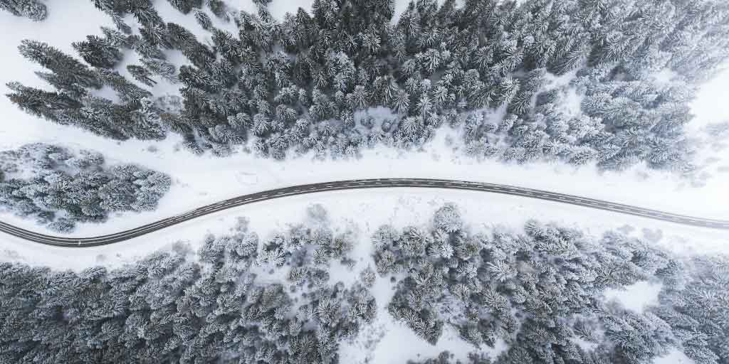 talvinen tie puiden keskellä