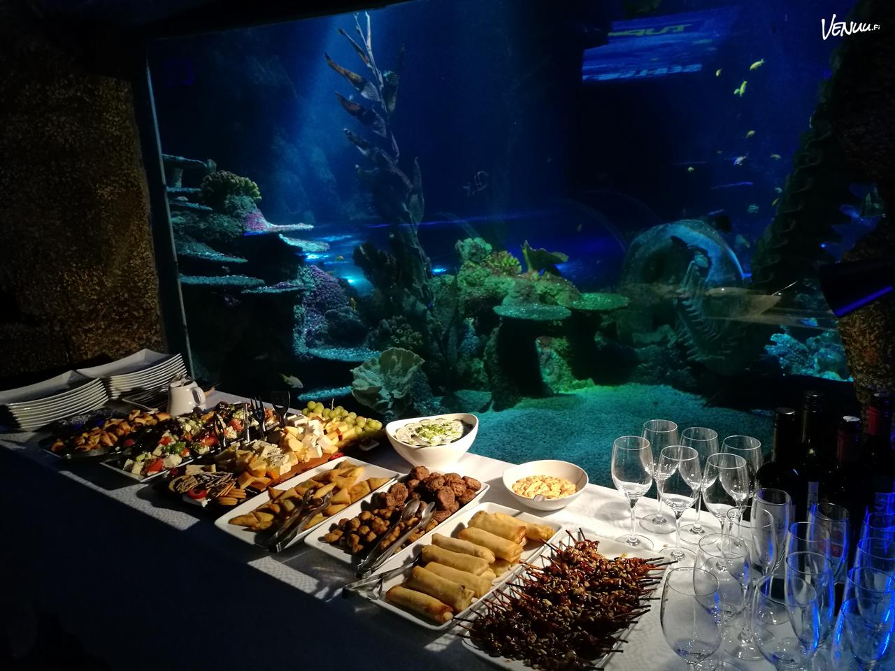 SEA LIFE Helsinki syntymäpäiväjuhlat – uniikki juhlatila akvaarion keskellä